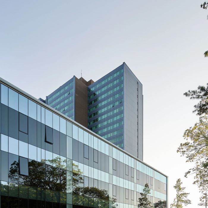 Mitrex – Solar Glass