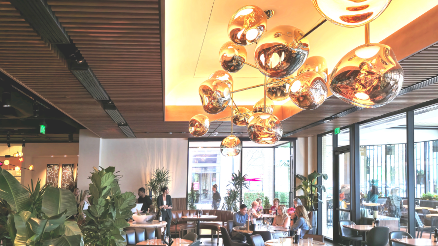 9Wood – Western Hemlock