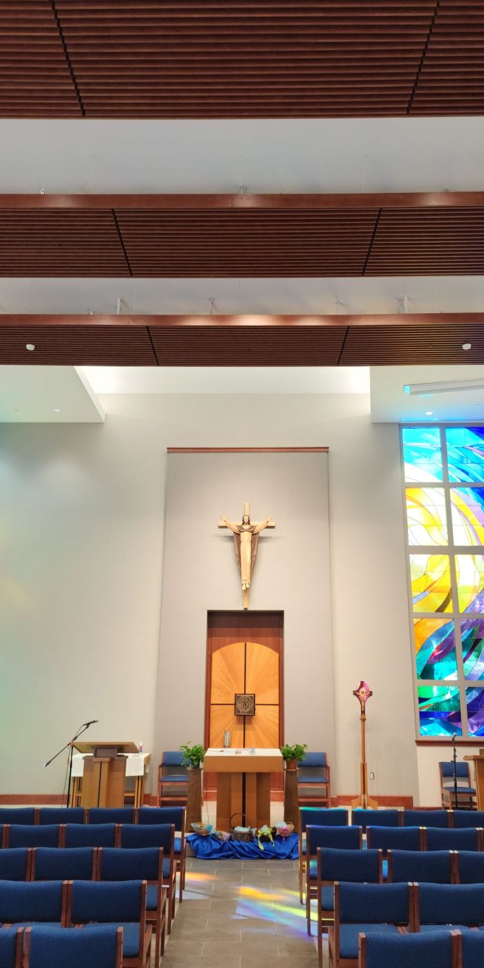 9Wood – Western Hemlock