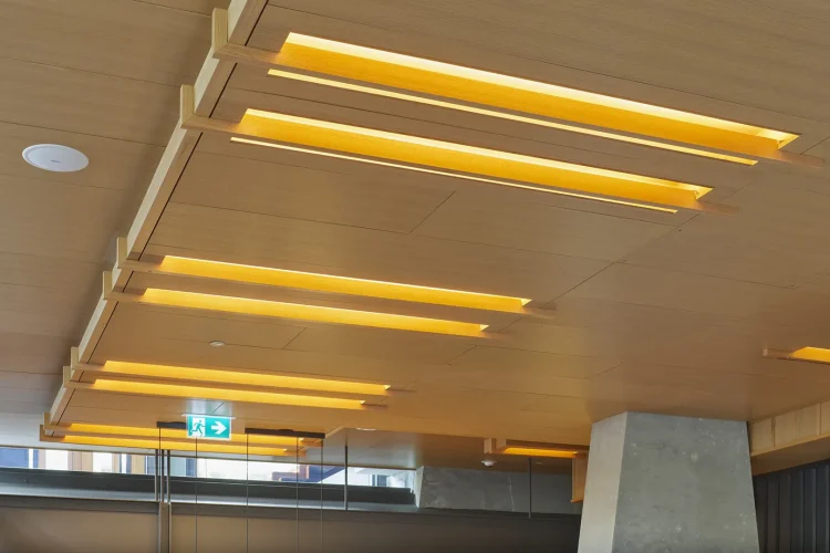 MCM Acoustical – Microperforated Wood Panels