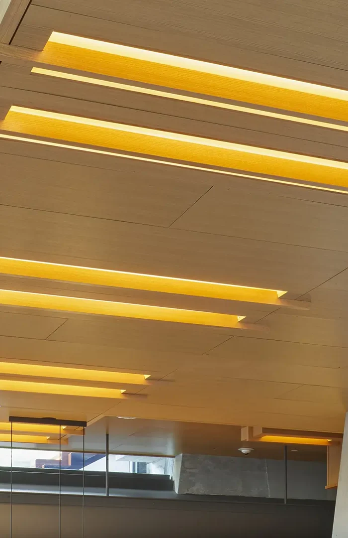 MCM Acoustical – Microperforated Wood Panels