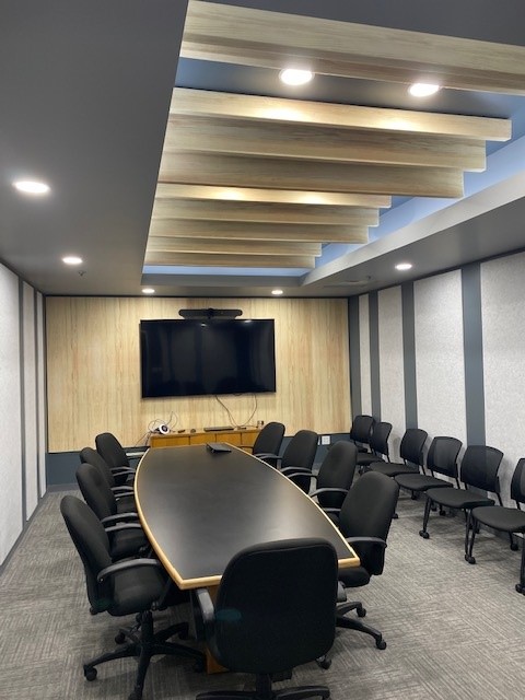 FSorb – Baffle Ceilings